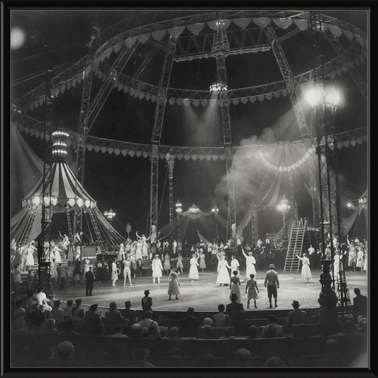 Vintage Circus Act Framed Art